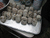 camp24 (268)_samu.gif